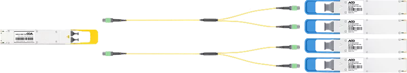 Module Connection